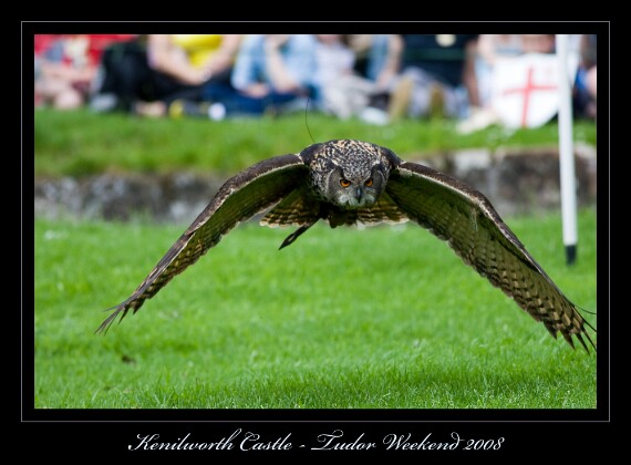 IMG_6411 EOS-1D Mark III
